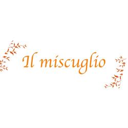 Il Miscuglio Giornali Tabacchi, Madesimo orari di apertura