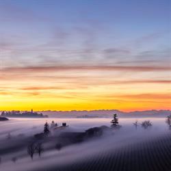 Cantine Valpane, Ozzano Monferrato orari di apertura