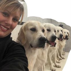 Fashion Dog, Novi Ligure orari di apertura
