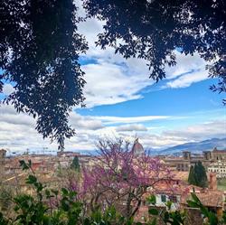 Hotel Paris, Firenze orari di apertura