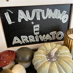 Lavis Pizza, orari di apertura