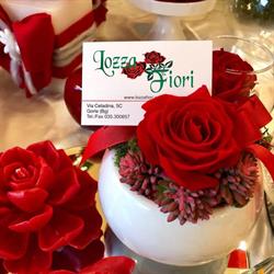 Lozza Fiori S.n.c. Di Lozza Stefania & C., Gorle orari di apertura