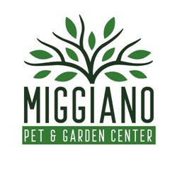 Miggiano Garden Center - Vivaio, fiori, piante, pet food e accessori animali, San Cassiano orari di apertura