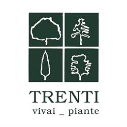 Societa' Agricola Trenti Vivai Piante S.s Di Trenti Pietro e Enzo, San Giovanni Valdarno orari di apertura