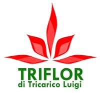 Triflor Di Tricarico Luigi, Terlizzi orari di apertura