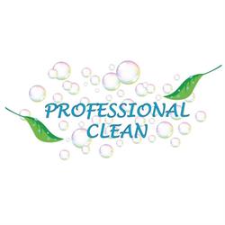 Professional Clean, Quinto di Treviso orari di apertura