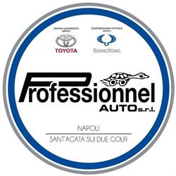 Professionnel Auto S.r.l. Massa Lubrense, Sant'agata Sui Due Golfi - Orari di apertura