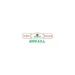 Panificio, Pasticceria, Pasta Fresca Sapo, Santa Teresa Gallura orari di apertura