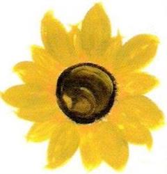 Scuola Di Cucina Girasole, Modena orari di apertura
