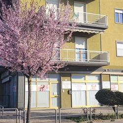 Stare Bene SRL SRL Poliambulatorio, Mapello orari di apertura