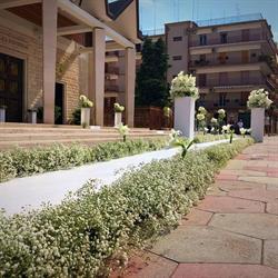 Green Garden Di Gadaleta Vito & Cosimo S.n.c., Terlizzi orari di apertura