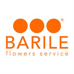 F.lli Barile SRL, Terlizzi orari di apertura