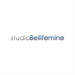 Bellifemine Geom. Andrea Studio Tecnico, Molfetta orari di apertura