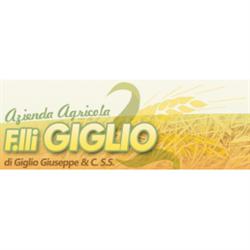 Azienda Agricola F.lli Giglio, Gravina in Puglia orari di apertura