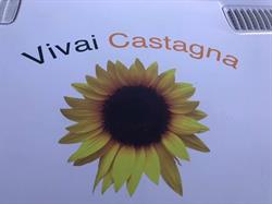 Vivai Castagna, Soiano del Lago orari di apertura