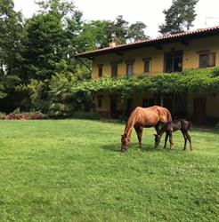 Agriturismo Alba Chiara Az. Agenzia Albachiara, Varallo Pombia orari di apertura