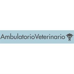 Ambulatorio Veterinario Saccolongo, orari di apertura