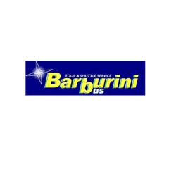 Autoservizi Barburini Bus, Gemona del Friuli orari di apertura