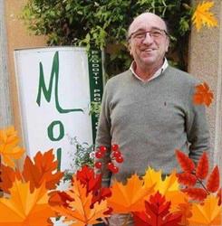 Molina Manlio, Alessandria orari di apertura