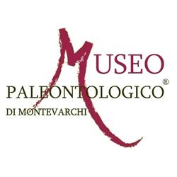 Museo Paleontologico, Montevarchi orari di apertura