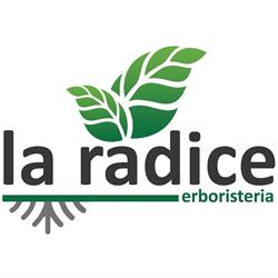 Erboristeria La Radice, Cinisello Balsamo orari di apertura