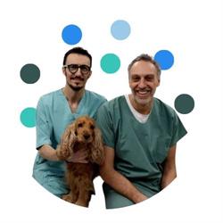 Ambulatorio Veterinario Argo dei Dott Abate s Ratto a, Acqui Terme orari di apertura