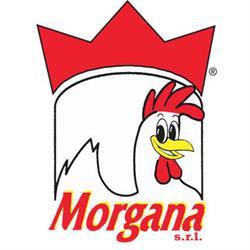 Macelleria Morgana ®, Naro orari di apertura