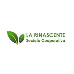 La Rinascente Impresa di Pulizia, Striano orari di apertura