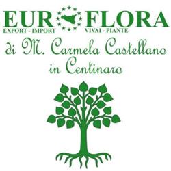 Vivai Euroflora, Alessandria della Rocca orari di apertura