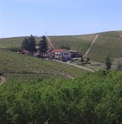 CA' DU RUJA, Strevi orari di apertura