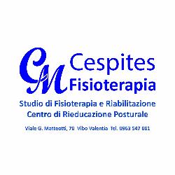 Studio di Fisioterapia Cespites, Vibo Valentia orari di apertura