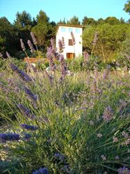 La Torre Del Poggio, Ancona orari di apertura