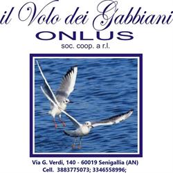IL VOLO DEI GABBIANI - Servizio di Pulizia - Manutenzione del Verde - Logistica, Senigallia orari di apertura