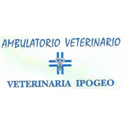Clinica Veterinaria Ipogeo, Cortona orari di apertura
