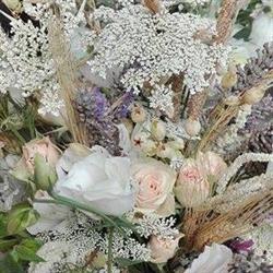 Fiori e Piante Fiorenza, Poppi orari di apertura