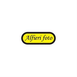 ALFIERI FOTO srl, Asti orari di apertura