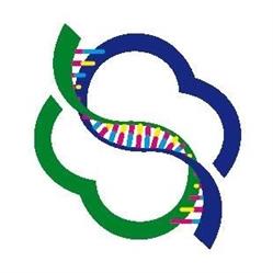 Diagnostica Biomolecolare San Modestino S.r.l. Laboratorio Di Analisi, Avellino orari di apertura