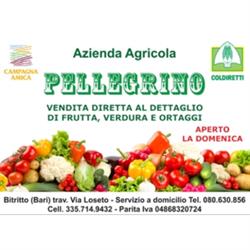 Azienda Agricola Pellegrino, Bitritto orari di apertura