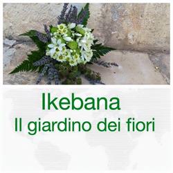Ikebana Il Giardino Dei Fiori Di Sportelli Vita Maria, Castellana Grotte orari di apertura