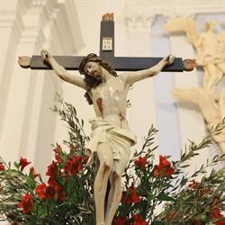 Parrocchia S. Domenico, Rutigliano orari di apertura