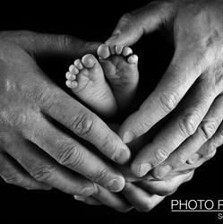 Photo - Parsani Di Parsani Angelo Servizi Fotografici, Bagnatica orari di apertura