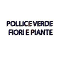 Pollice Verde Fiori e Piante, Bergamo orari di apertura