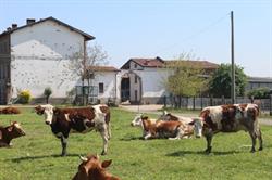 Tiraboschi Gianluigi, Stezzano orari di apertura