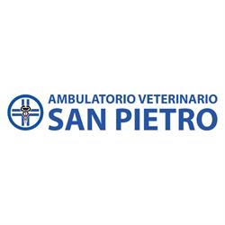 Ambulatorio Veterinario San Pietro, Biella orari di apertura