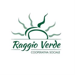 Raggio Verde Societa' Cooperativa a Responsabilita' Limitata, Vigliano Biellese orari di apertura