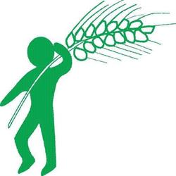 Cooperativa Agricola 'la Fiorita' SOC. COOP. a R.l., Cesiomaggiore orari di apertura