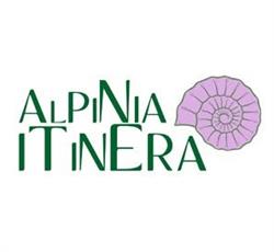 Agenzia Viaggi Alpinia, Santa Giustina orari di apertura