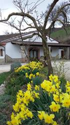 Agriturismo al Regio Tratturo, Baselice orari di apertura