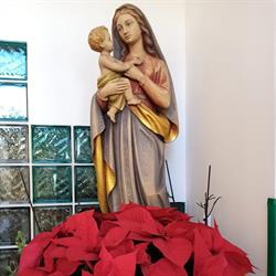 Mater Dei, Benevento orari di apertura