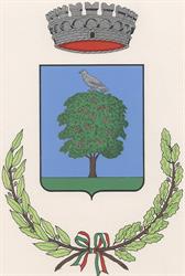 Comune Di Frasso Telesino, orari di apertura